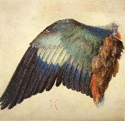 Albrecht Durer Wing of a Blue Roller china oil painting artist